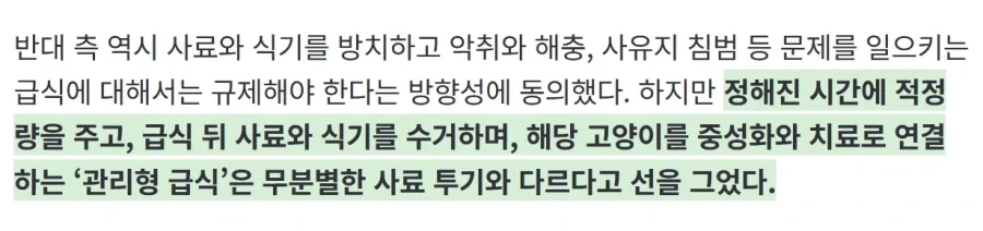 “고양이 밥 주면 ‘벌금 100만원’” 캣맘 금지법, 정식 논의된다_8.webp