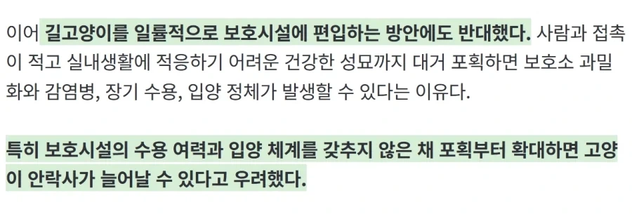 “고양이 밥 주면 ‘벌금 100만원’” 캣맘 금지법, 정식 논의된다_9.webp