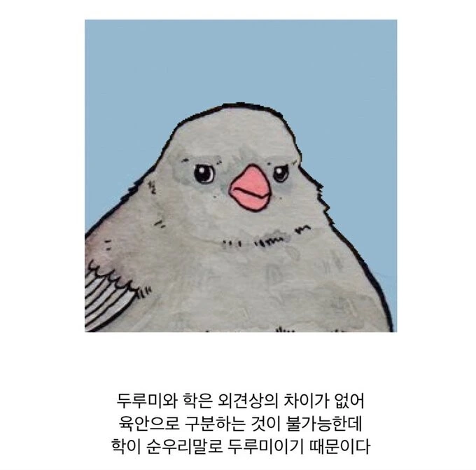 1736b091e6c52206c.png