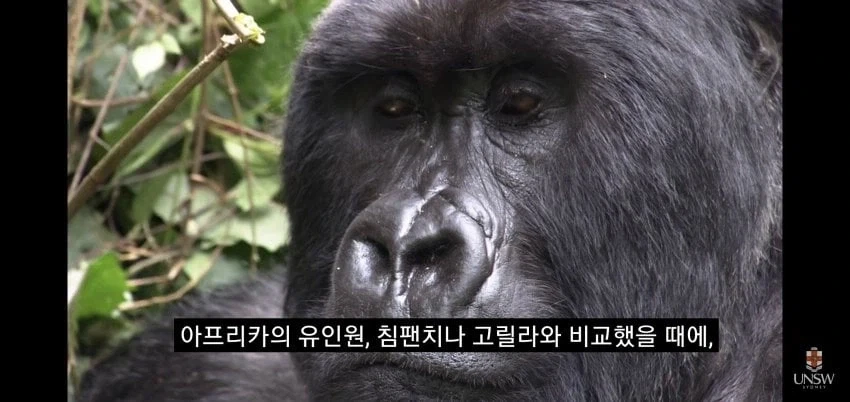 인간의 성기가 크고 굵은 이유_1.webp