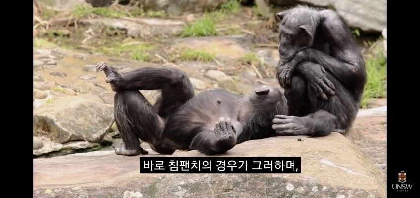인간의 성기가 크고 굵은 이유_10.webp