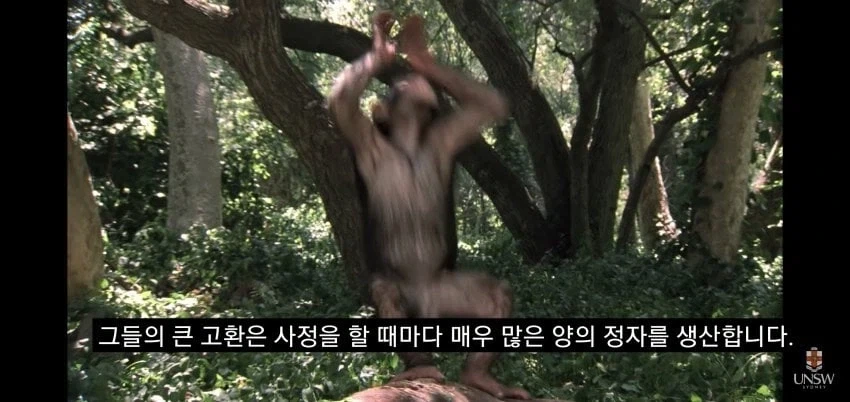 인간의 성기가 크고 굵은 이유_11.webp
