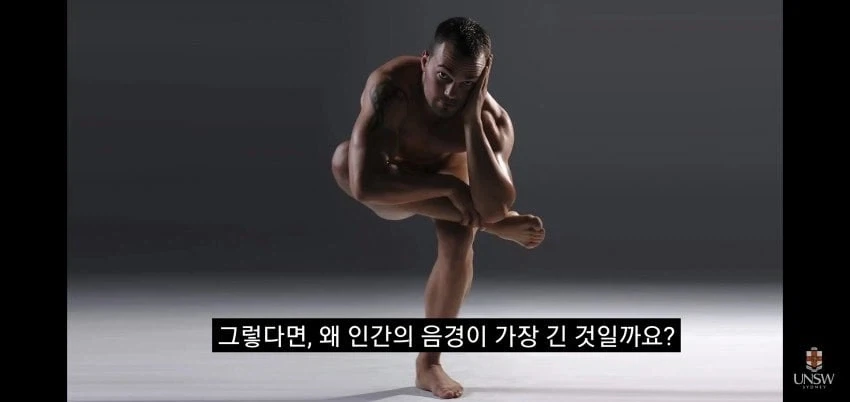 인간의 성기가 크고 굵은 이유_15.webp