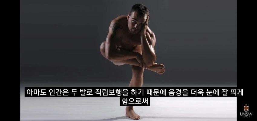 인간의 성기가 크고 굵은 이유_16.webp