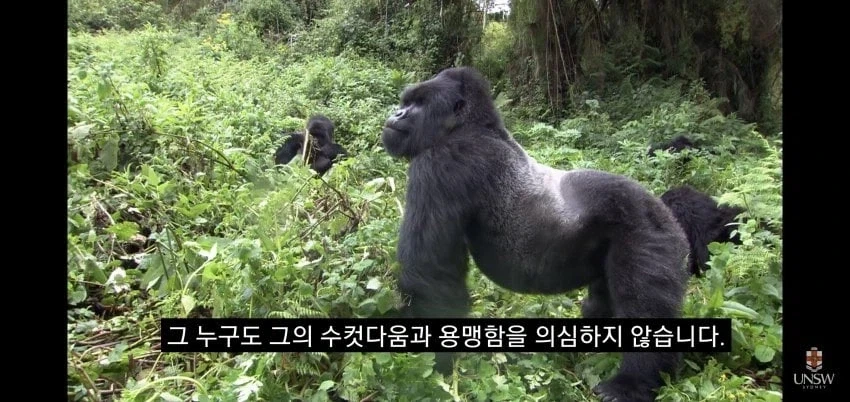 인간의 성기가 크고 굵은 이유_23.webp
