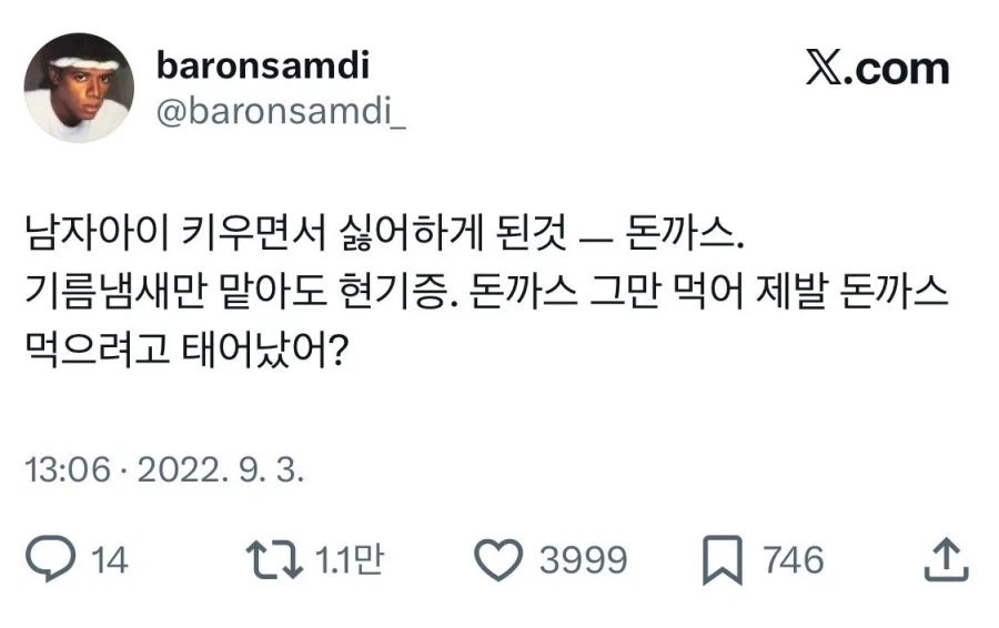 돈까스 그만 먹어 제발 돈까스 먹으려고 태어났어?_1.webp