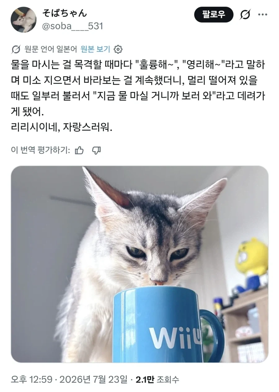 고양이가 물을 마실 때마다 칭찬하면 생기는 일._1.webp