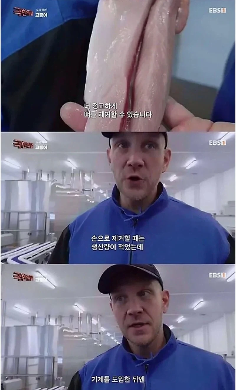 노르웨이 순살 고등어의 비밀_6.webp