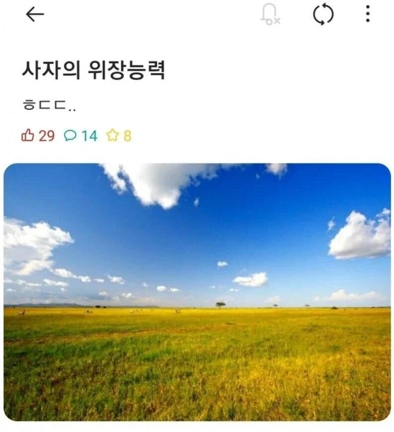 사자의 위장 능력_1.webp