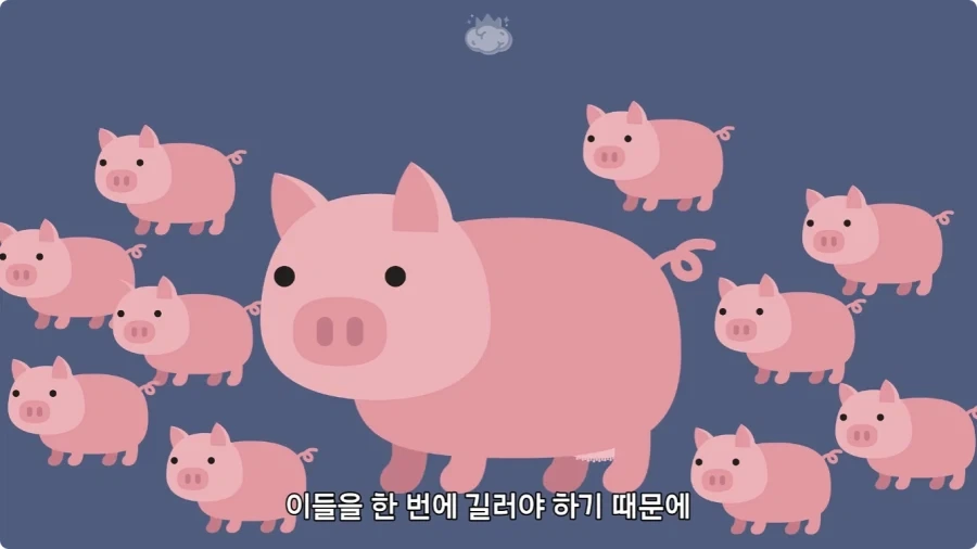 돼지젖으로 만든 우유가 없는 이유.jpg_2.webp