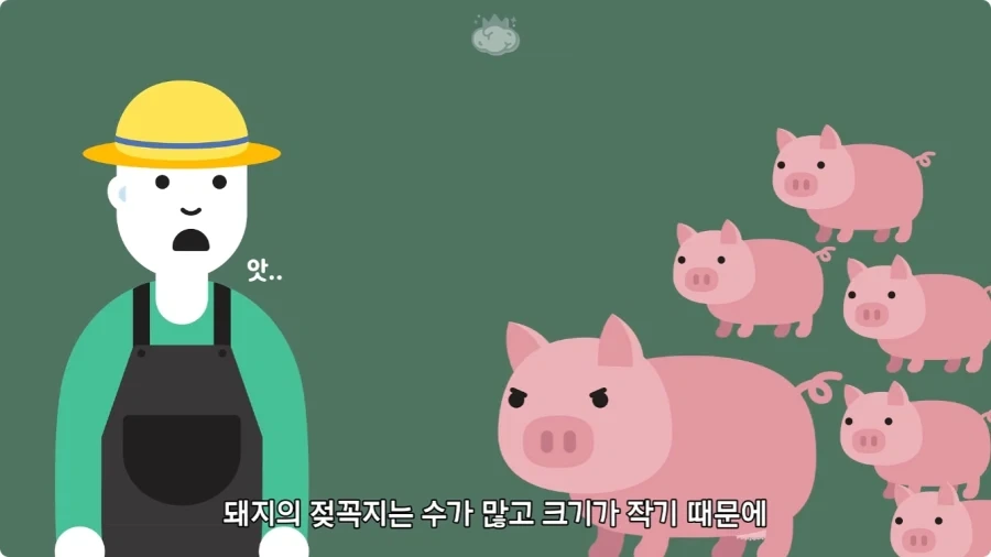 돼지젖으로 만든 우유가 없는 이유.jpg_10.webp