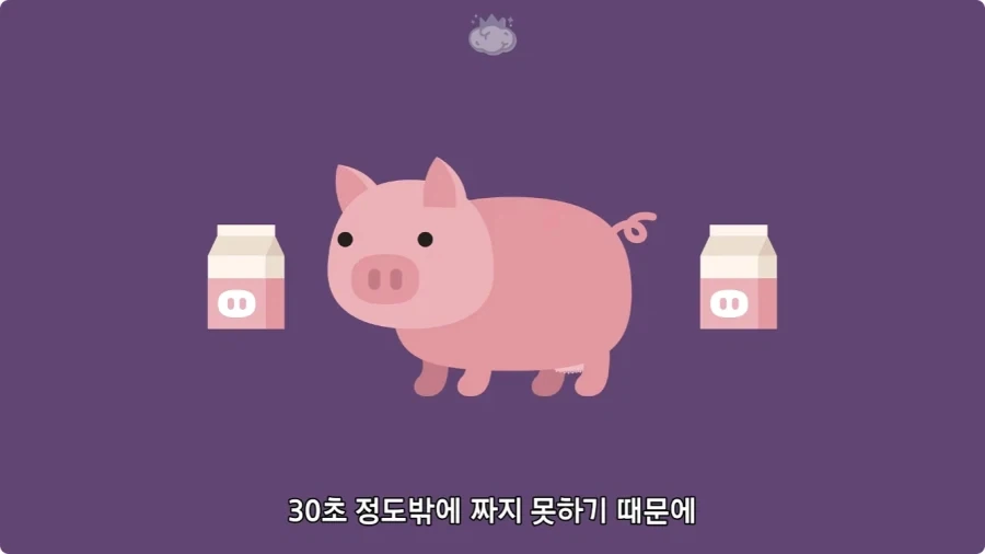 돼지젖으로 만든 우유가 없는 이유.jpg_13.webp