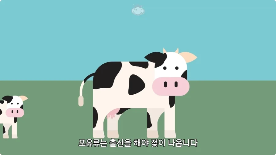 돼지젖으로 만든 우유가 없는 이유.jpg_15.webp