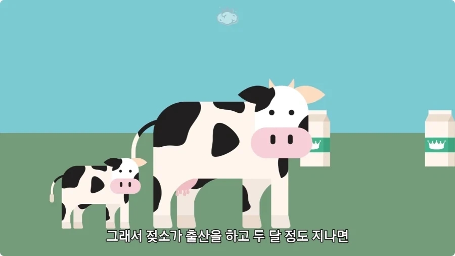 돼지젖으로 만든 우유가 없는 이유.jpg_16.webp
