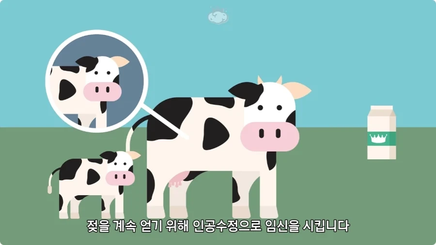 돼지젖으로 만든 우유가 없는 이유.jpg_17.webp