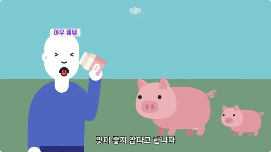 돼지젖으로 만든 우유가 없는 이유.jpg_23.webp