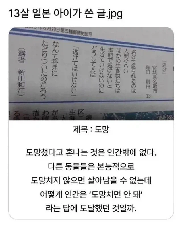 도망쳤다고 혼나는 것은 인간밖에 없다._1.webp