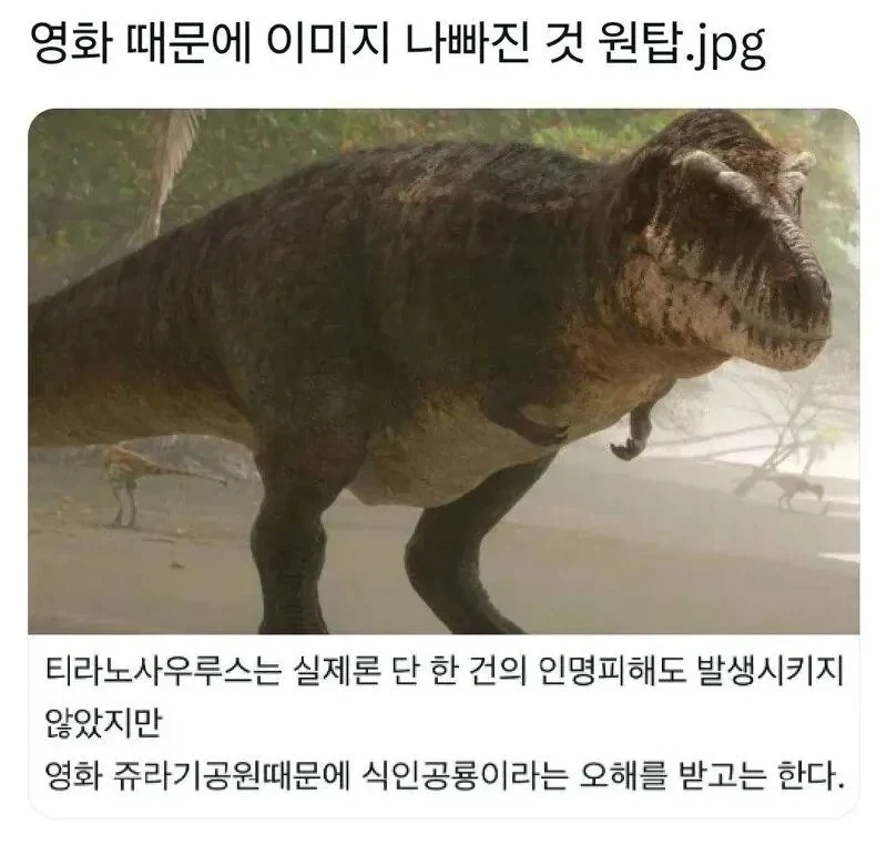 영화때문에 이미지 나빠진 동물 원탑_1.webp