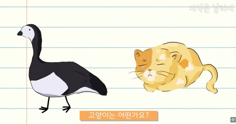 의외로 우주로 나갔을때 가장 적응하지 못할 동물_1.webp