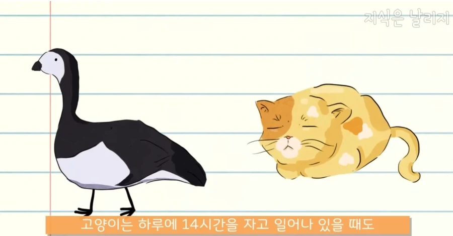 의외로 우주로 나갔을때 가장 적응하지 못할 동물_2.webp