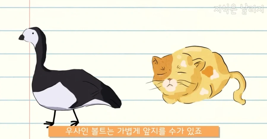 의외로 우주로 나갔을때 가장 적응하지 못할 동물_4.webp