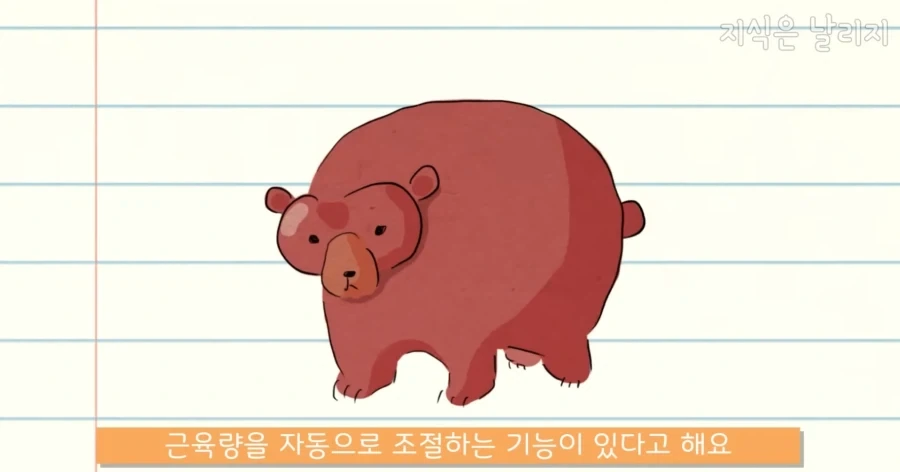 의외로 우주로 나갔을때 가장 적응하지 못할 동물_6.webp