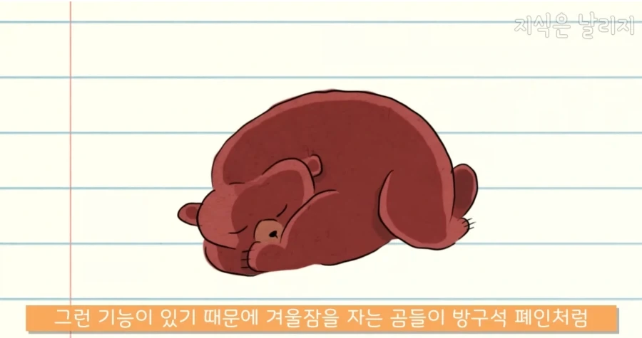 의외로 우주로 나갔을때 가장 적응하지 못할 동물_7.webp