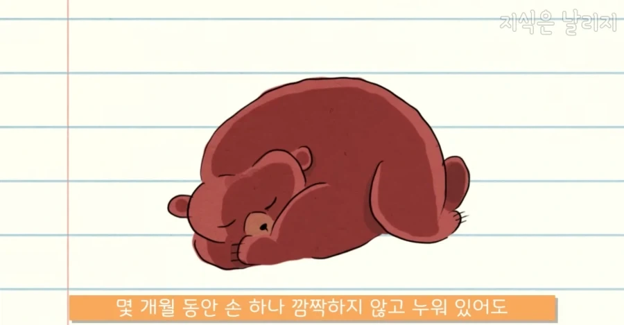 의외로 우주로 나갔을때 가장 적응하지 못할 동물_8.webp
