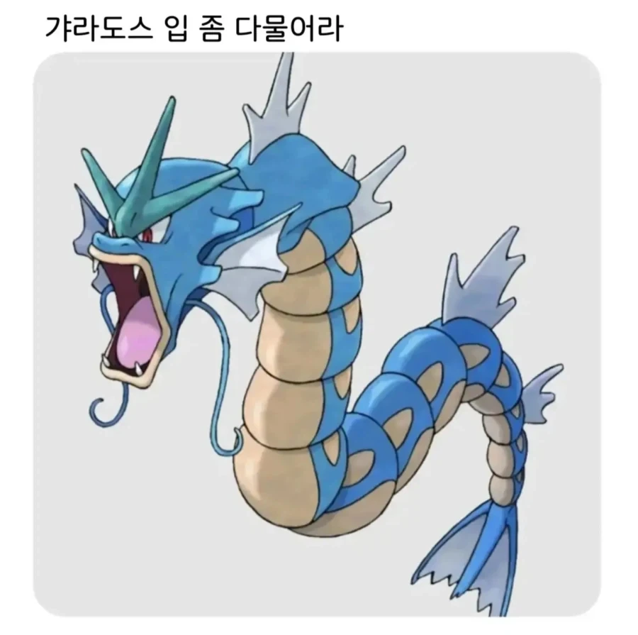 갸라도스가 입을 다물면_1.webp