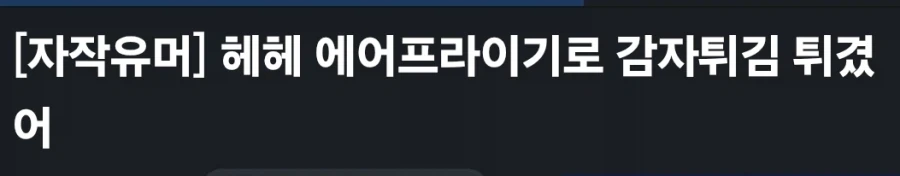헤어드라이기로 감자튀김튀겼어_1.webp