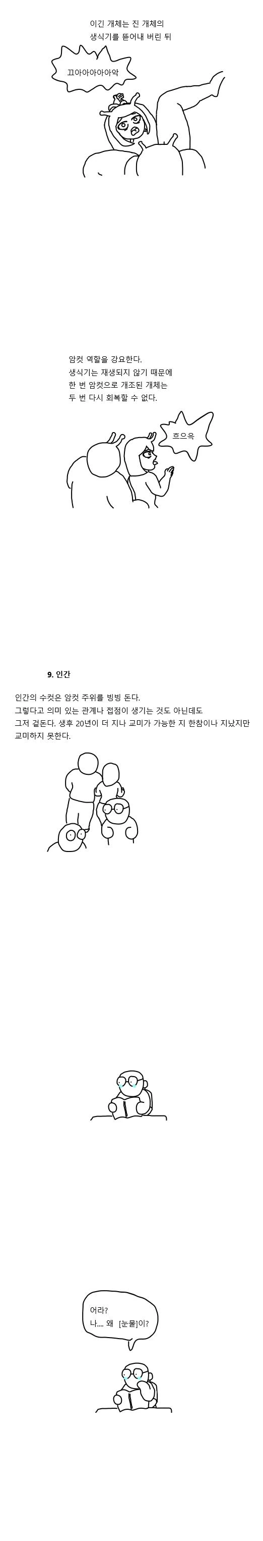 manga_728371_005.webp