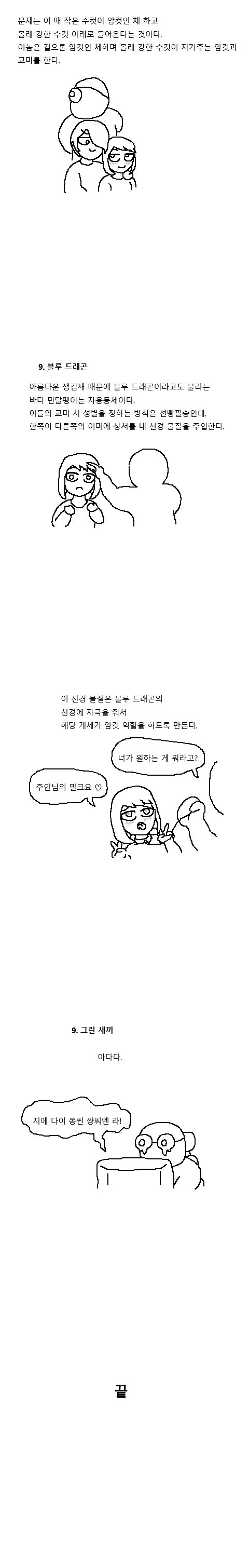 manga_728371_011.webp