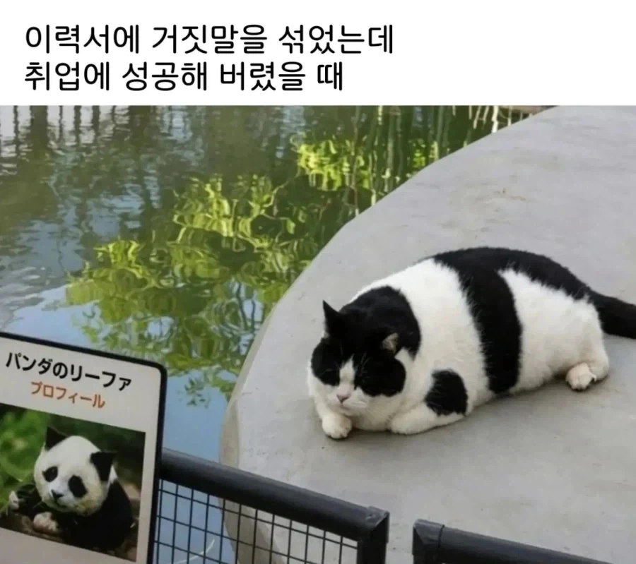 거짓 이력서로 취업에 성공해버렸다._1.webp