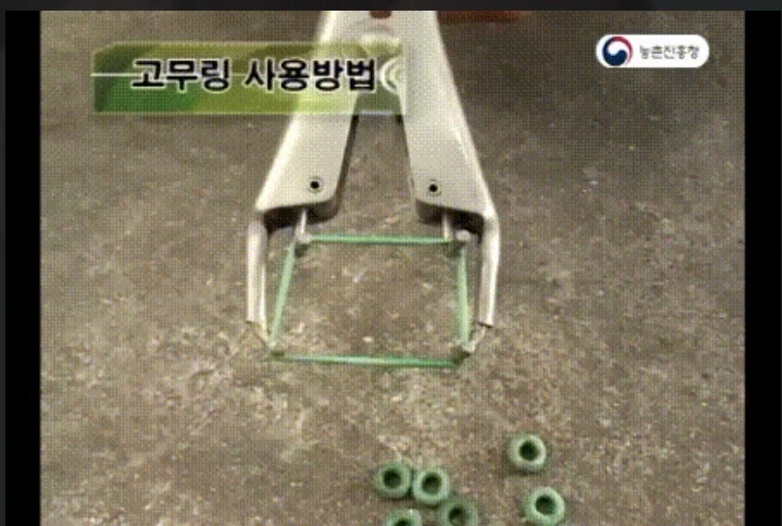 무조건 군면제 만들어주는 치팅 아이템_1.webp