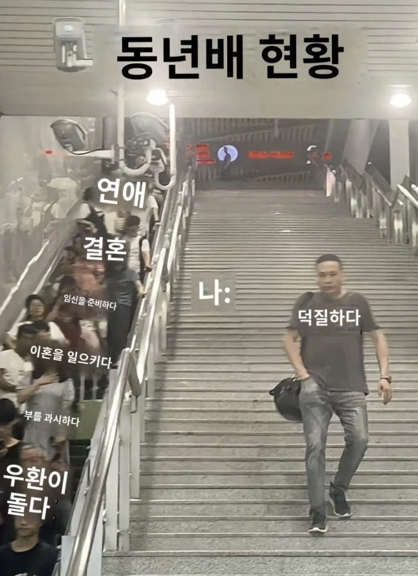 동년배 비교_1.webp