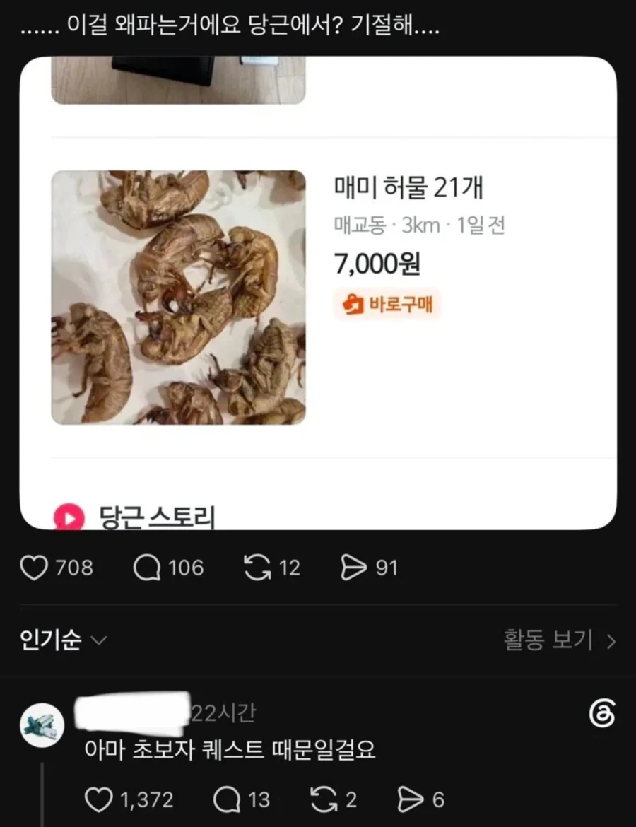 (혐) 당근마켓에 올라온 매미 허물_1.webp