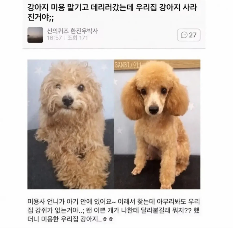 마비노기 환생_1.webp