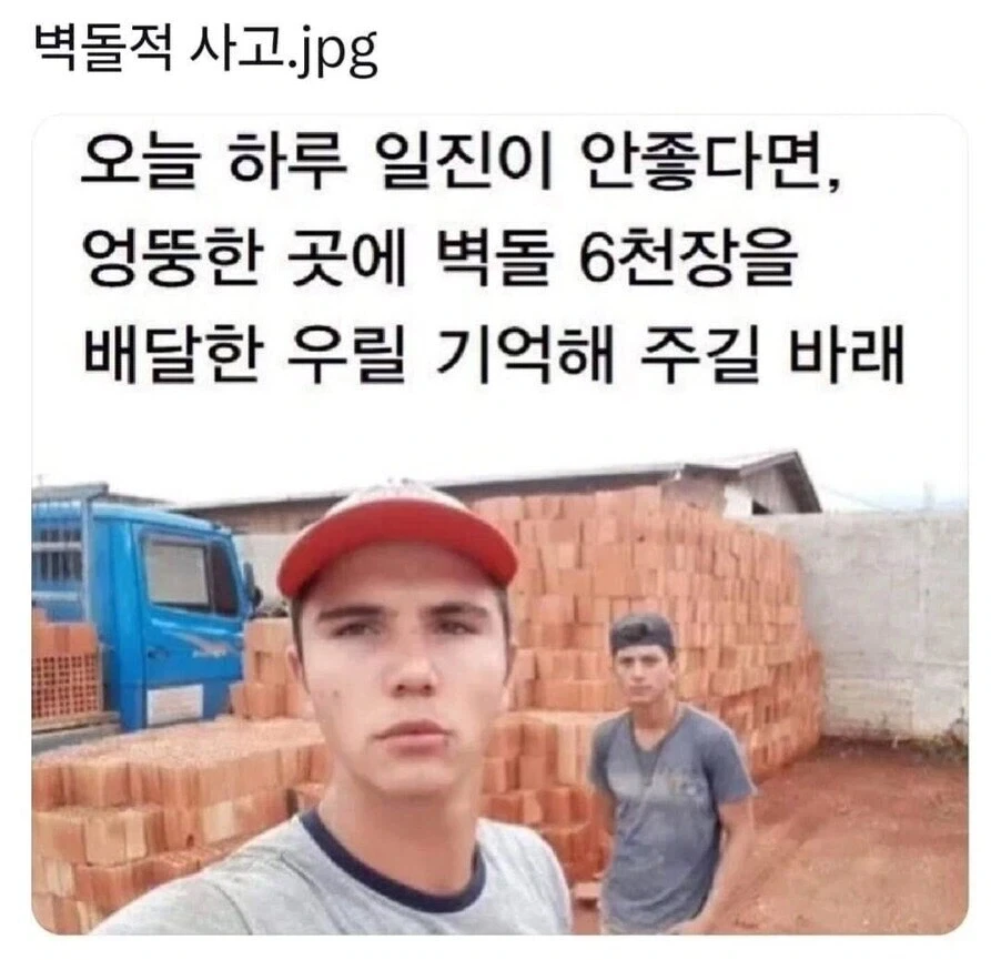 벽돌적 사고_1.webp