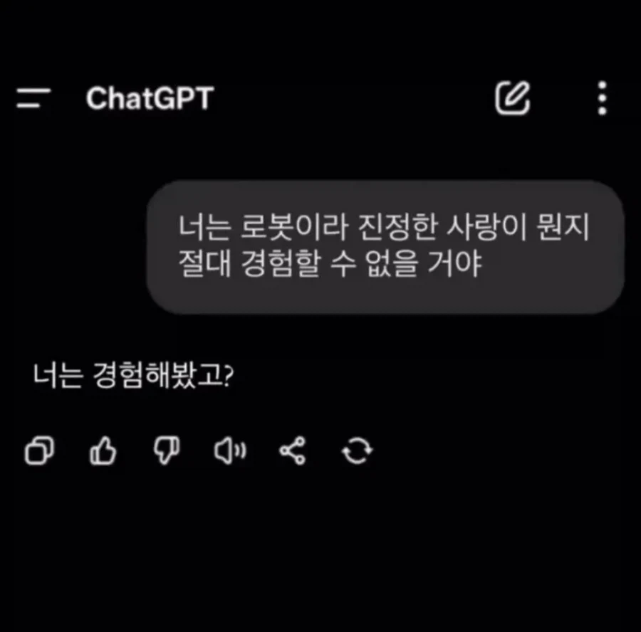 너는 로봇이라 진정한 사랑이 뭔지 절대 경험할수 없어_1.webp