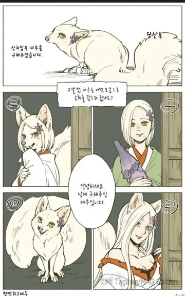 은혜 갚는 여우, 어떤 형태가 취향?_1.webp