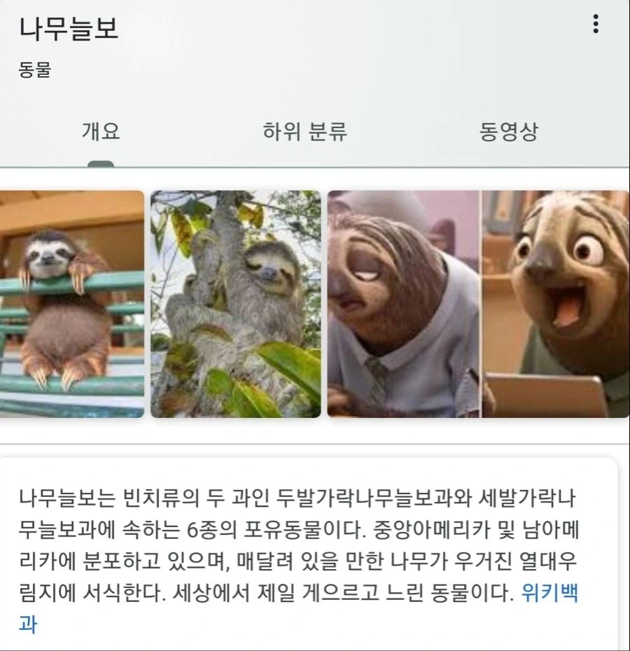 님들 ㅠㅠㅠㅠ 나무는 가위바위보를 못 이긴대요 ㅠㅠㅠ_2.webp