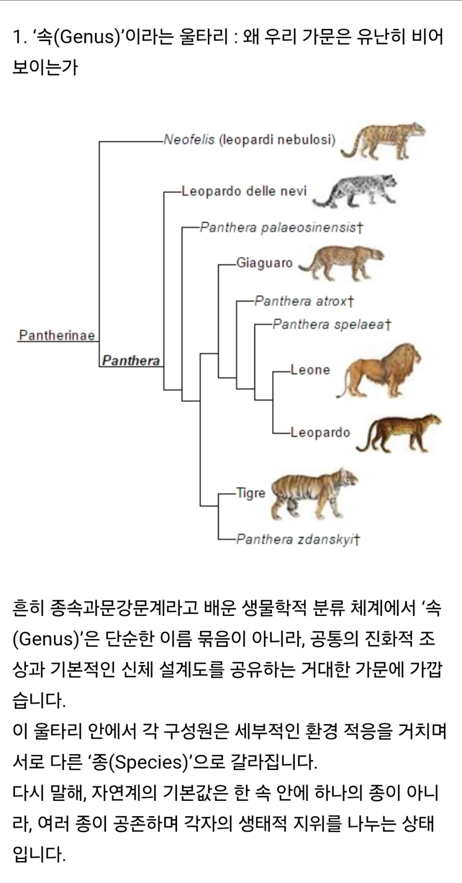 펌) 인류에게 사촌이 없는 이유_1.webp