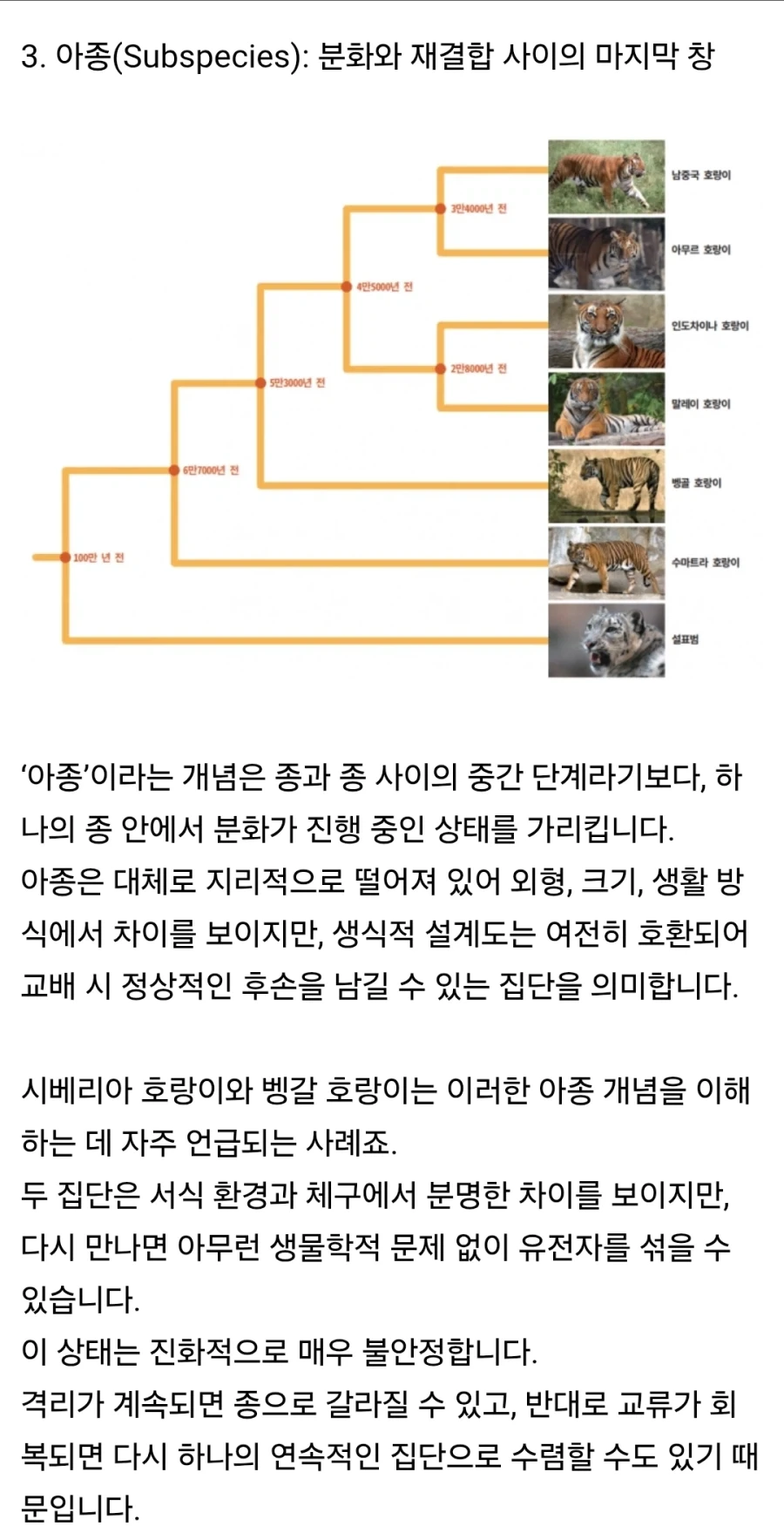펌) 인류에게 사촌이 없는 이유_5.webp