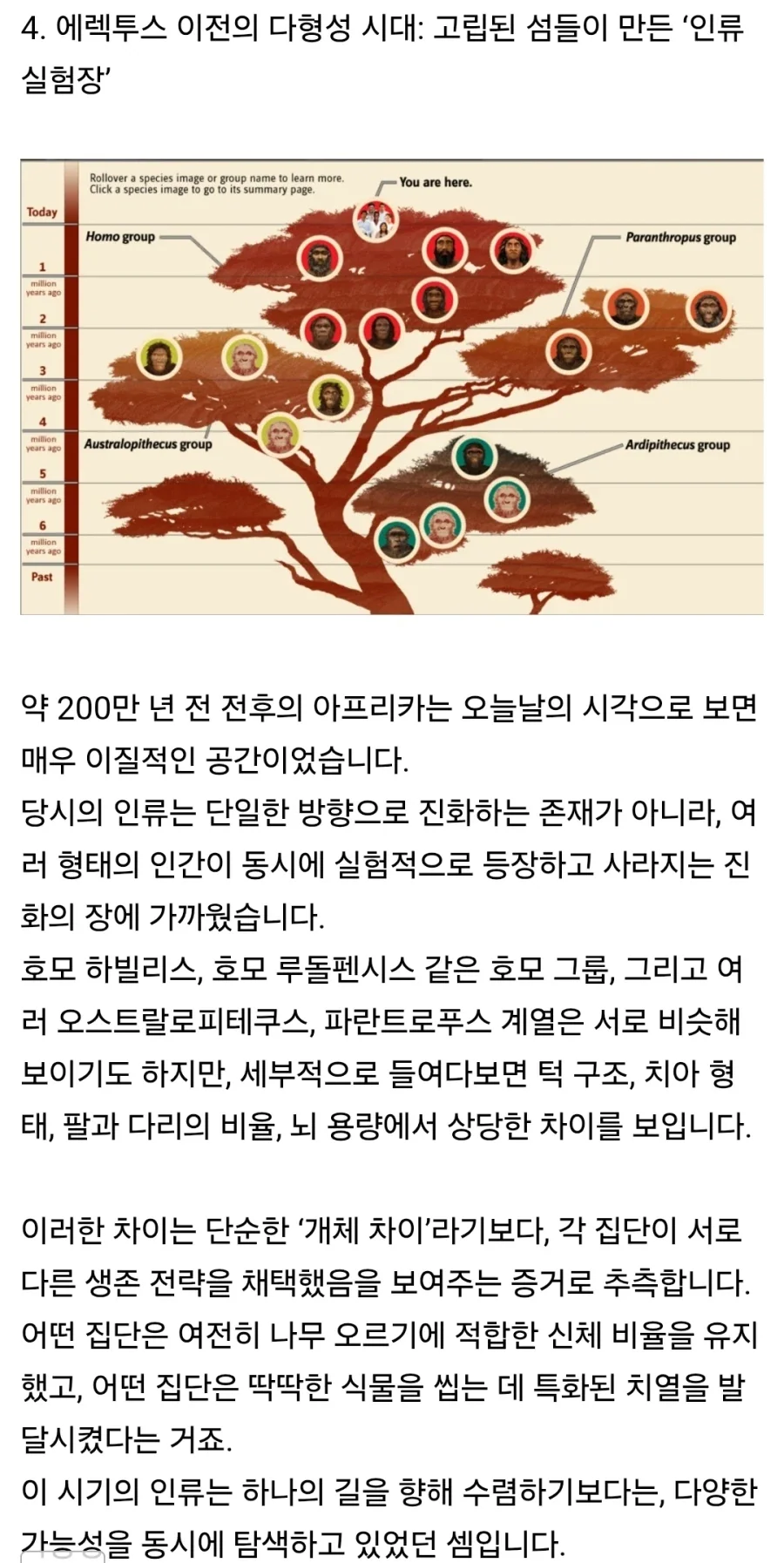 펌) 인류에게 사촌이 없는 이유_7.webp