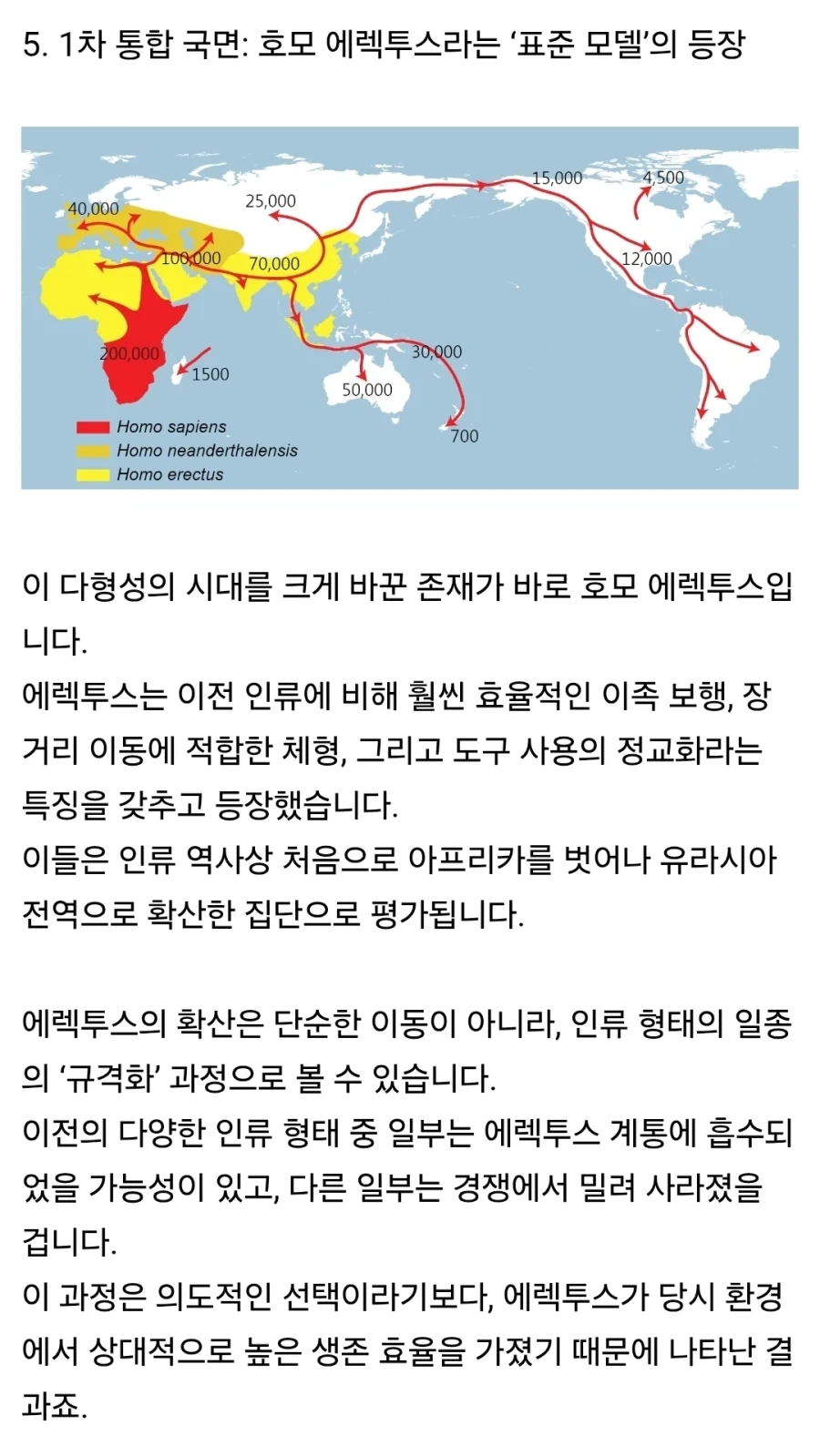 펌) 인류에게 사촌이 없는 이유_9.webp