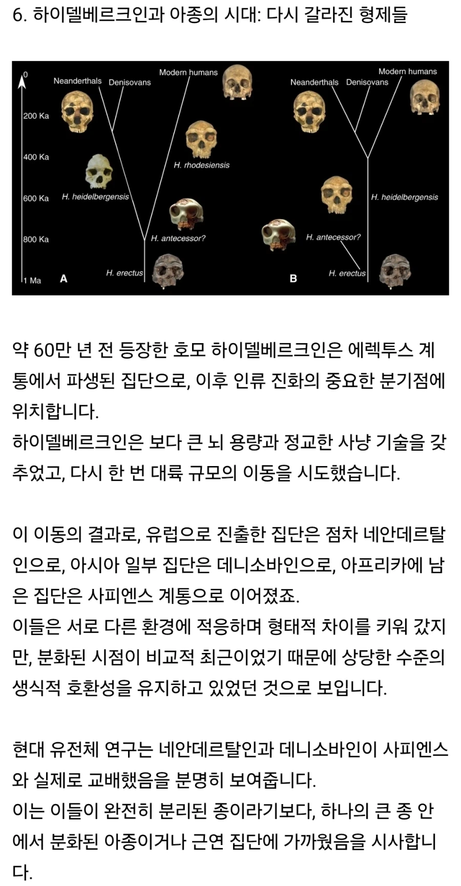 펌) 인류에게 사촌이 없는 이유_11.webp