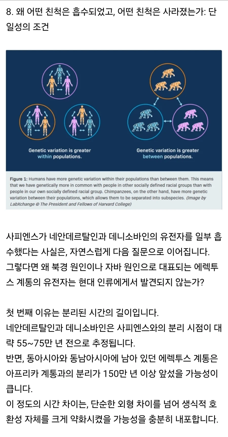 펌) 인류에게 사촌이 없는 이유_15.webp