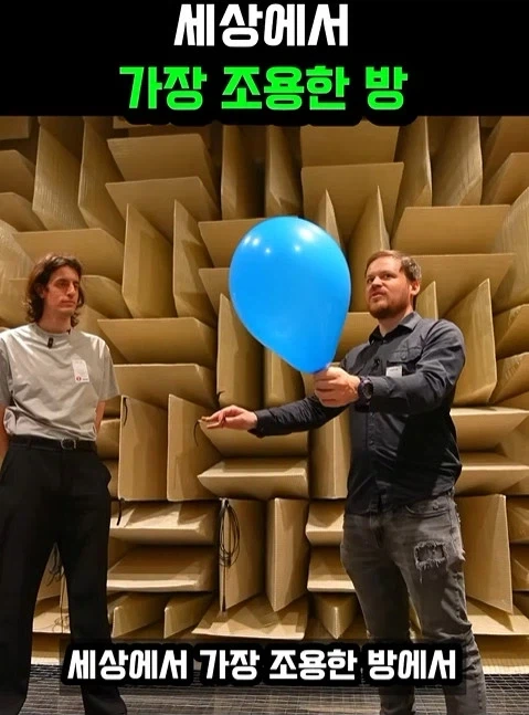 반사음을 모두 죽인다는 방_1.webp