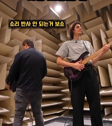 반사음을 모두 죽인다는 방_12.webp