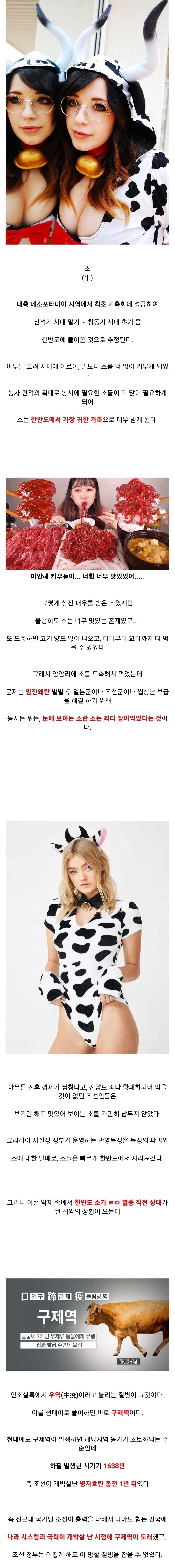 한반도의 소 멸종을 막은 인물_1.webp